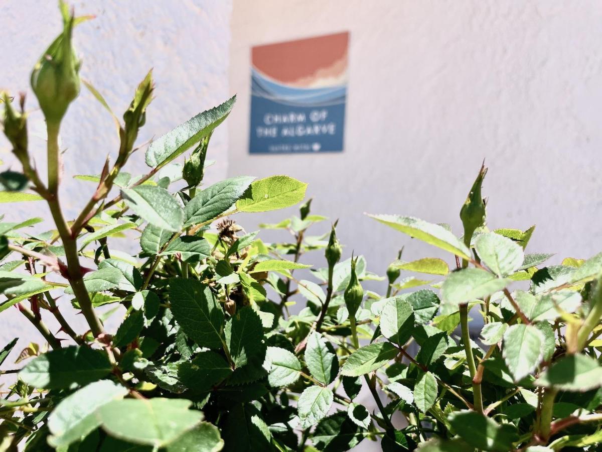 Charm Of The Algarve, Luxury Guesthouse Adults Only Олян Екстер'єр фото