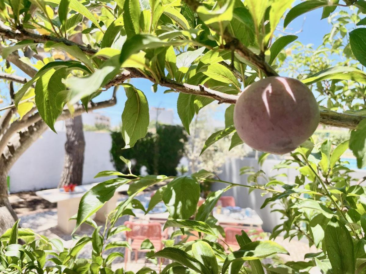 Charm Of The Algarve, Luxury Guesthouse Adults Only Олян Екстер'єр фото